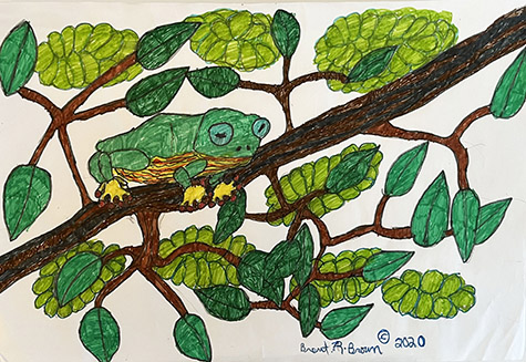 Brent Brown | BRB1017 | Tree Frog, 2020 | 18 x 12 in. at the Outsider Folk Art Gallery