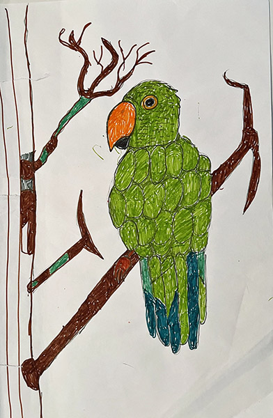 Brent Brown | BRB1070 | Pear the Parrot with orange beak | 12 x 18 in. at the Outsider Folk Art Gallery