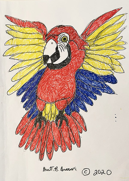 Brent Brown | BRB1073 | Parrot, yellow, red, blue wings | 12 x 18 in. at the Outsider Folk Art Gallery