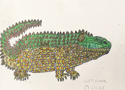 Brent Brown | BRB1085 | Chubby alligator | 12 x 9 in. at the Outsider Folk Art Gallery