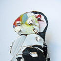 Brent Brown BRB408 | Puffin Cool, at the Outsider Folk Art Gallery
